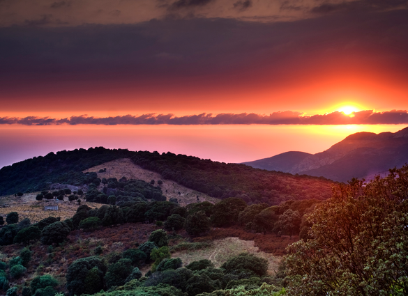 Bus-rondreis, 11 dagen Sardinië en Corsica