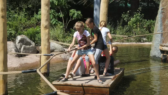 Dierenpark Amersfoort 