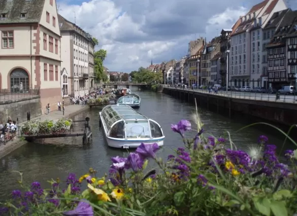Busreis Zwarte Woud, 6 dagen Schallstadt