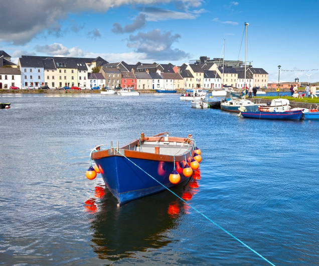 Bus-rondreis 12 dagen Ierland